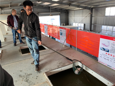 【新時(shí)代 新作為 新篇章】搭建新平臺研發(fā)新技術(shù) 農(nóng)業(yè)創(chuàng)新為鄉(xiāng)村振興注入活力