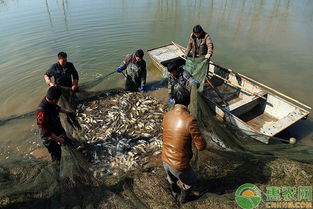 淺談水產(chǎn)生態(tài)養(yǎng)殖技術(shù)的應(yīng)用