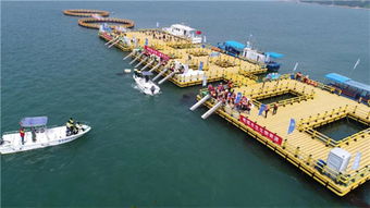 經(jīng)濟日報 聚焦榮成 帶你揭秘 吃 海新招式