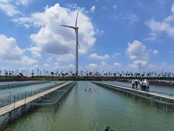 18000多畝標(biāo)準(zhǔn)化養(yǎng)殖池塘,專注高品質(zhì)草魚(yú)、鯽魚(yú)、鮰魚(yú)養(yǎng)殖!現(xiàn)代化水產(chǎn)養(yǎng)殖企業(yè)誠(chéng)邀技術(shù)員