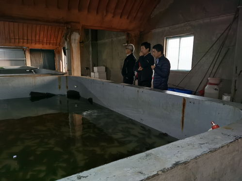 水產(chǎn)學(xué)院王慶奎教授赴水產(chǎn)養(yǎng)殖企業(yè)開(kāi)展技術(shù)指導(dǎo)