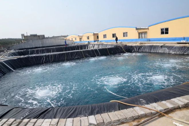 水產界女CEO花25年打造飼料、蝦苗、動保小產業鏈 !如今她聘請泰國專家、聯手正大,發力蝦苗板塊 | 尋找中國好蝦苗