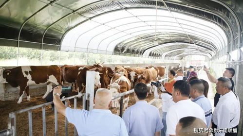 抗病 讓畜禽快速成長 徹底治理養殖場污染,這家企業 發明 養殖 黑科技