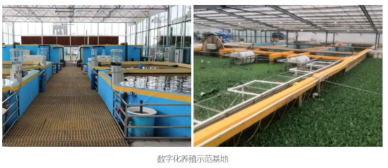 大愛無邊 暖冬守護 | 凱米斯用行動詮釋公益助農