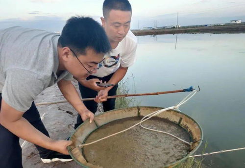 這個生態(tài)養(yǎng)殖模式,厲害了 年產(chǎn)量達30多萬斤,產(chǎn)值1200萬元