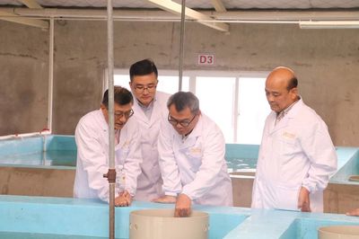 正大集團(tuán)水產(chǎn)事業(yè)首席運(yùn)營官Dr. Sujint一行蒞臨正大集團(tuán)農(nóng)牧食品企業(yè)(中國)中南區(qū)指導(dǎo)小龍蝦產(chǎn)業(yè)發(fā)展