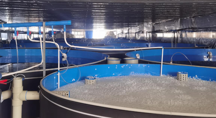 畜禽水產所科研人員到西南永盛農業科技考察調研