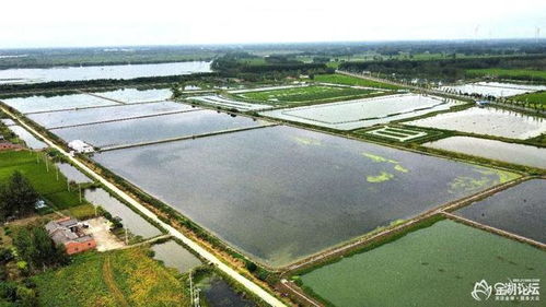 金湖論壇網(wǎng)友 看水產(chǎn)養(yǎng)殖采風活動之 走近 金湖農(nóng)科家庭農(nóng)場