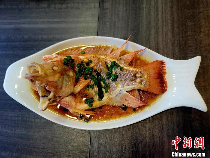 ?？谔剿?ldquo;咸淡水紅鯛魚&rdquo;養殖新賽道 市場供不應求