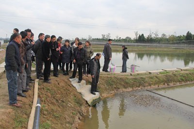 專家來武漢蝦龍水產(chǎn)養(yǎng)殖開發(fā)開展龍蝦養(yǎng)殖技術(shù)研發(fā)工作