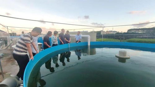 技術(shù)大拿間的 夢幻聯(lián)動 海之味與集美大學(xué)水產(chǎn)學(xué)院達(dá)成戰(zhàn)略合作,開啟牛蛙技術(shù)研發(fā)新篇章