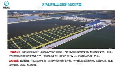 工廠化養(yǎng)魚-智慧農(nóng)研(在線咨詢)-工廠化循環(huán)水養(yǎng)魚