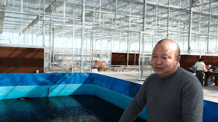 養(yǎng)魚不換水 種菜不施肥 一水雙收效益高