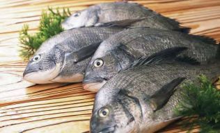 水產品中應檢測哪些違規藥品