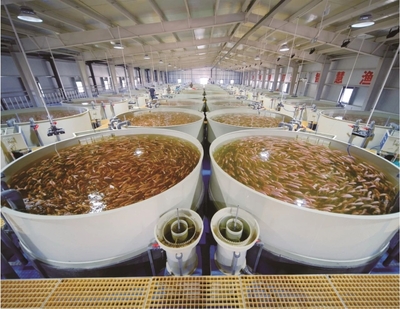 山東省大數據局 棗莊 數據要素&times;丨嶧城區古邵鎮:數據賦能 打造智慧化水產養殖新模式