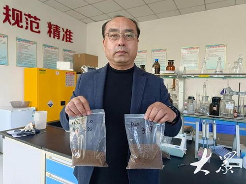 新型飼料助力養(yǎng)殖成本降低，農(nóng)家樂休閑觀光服務(wù)展現(xiàn)農(nóng)業(yè)新動(dòng)能