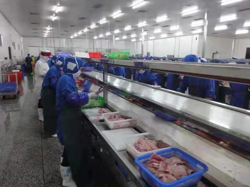 化州全力推動(dòng)羅非魚產(chǎn)業(yè)由大市轉(zhuǎn)向強(qiáng)市，助力農(nóng)家樂休閑觀光服務(wù)升級(jí)