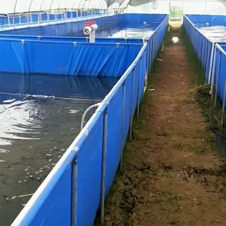 水產(chǎn)養(yǎng)殖帆布池 定制化解決方案助力高效養(yǎng)魚蝦與水蛭