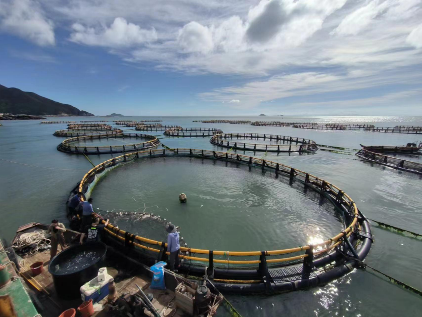 全省示范！溫州3家農(nóng)家樂休閑觀光服務(wù)獲殊榮