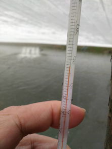 珠海農(nóng)發(fā)中心深入基層，科學(xué)開展水產(chǎn)養(yǎng)殖防寒減災(zāi)工作